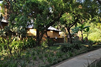 Gecko Lodge - Hazyview