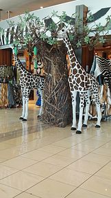Cape Town International Airport