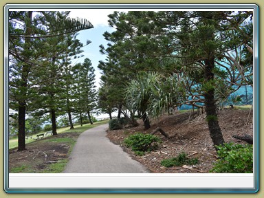 Point Cartwright Lighthouse, Buddina (QLD)