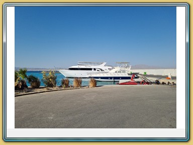 Soma Bay - Marina
