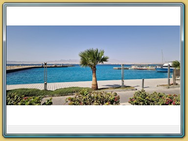 Soma Bay - Marina