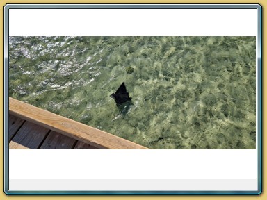 Soma Bay . Jetty II